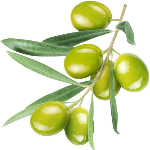 Napoleon Triple Stuffed Olives